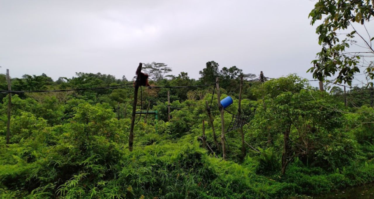 tempat wisata kutai kartanegara