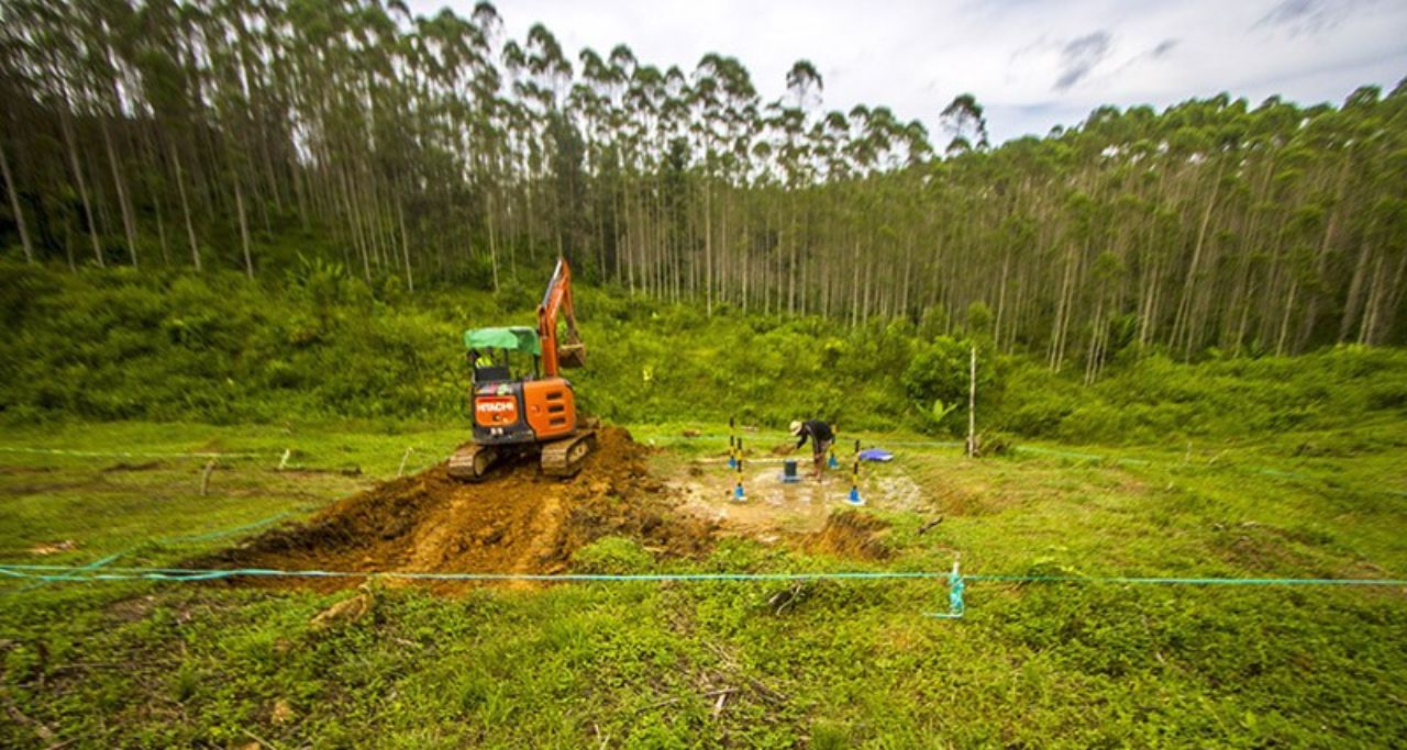 Proses Pembangunan Kebun Raya di IKN