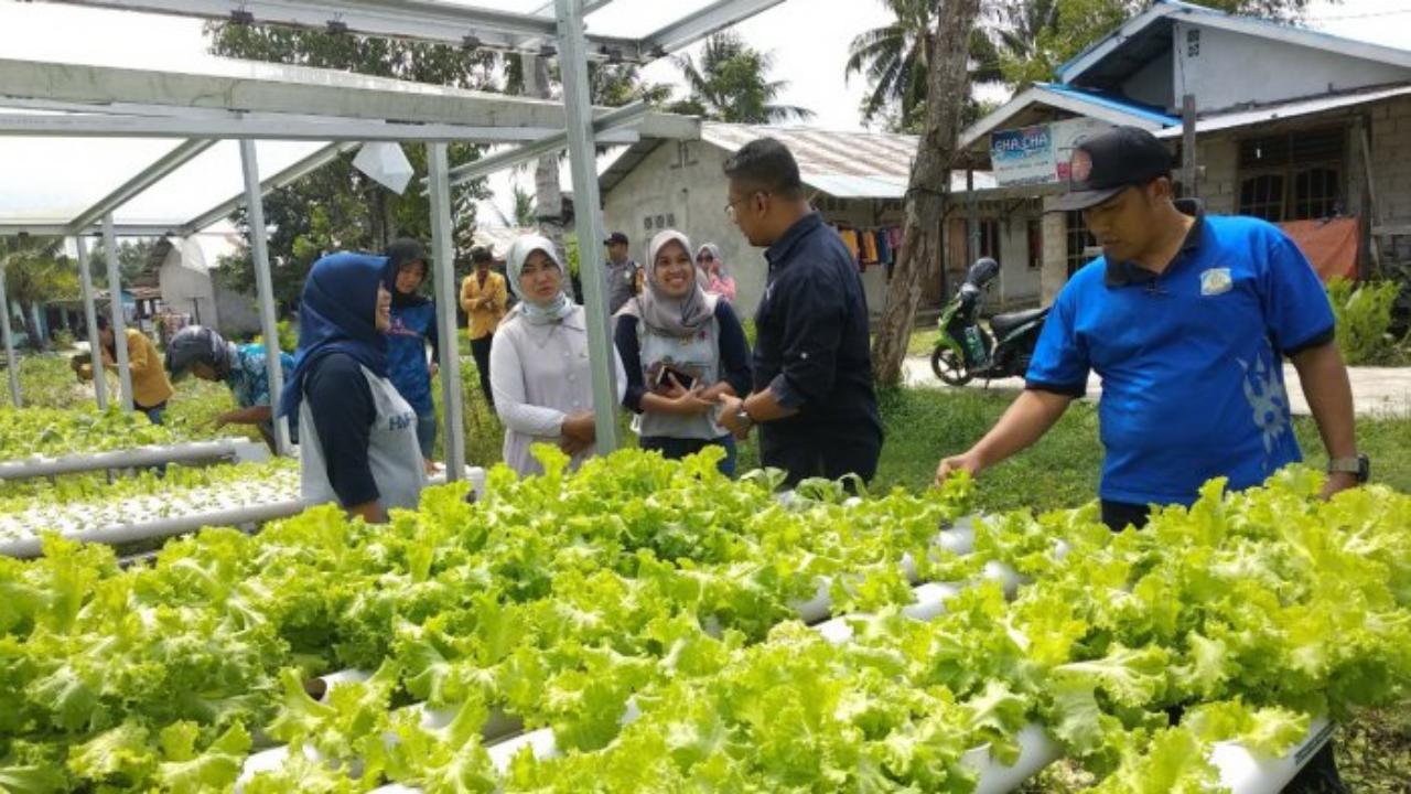 kampung iklim balikpapan