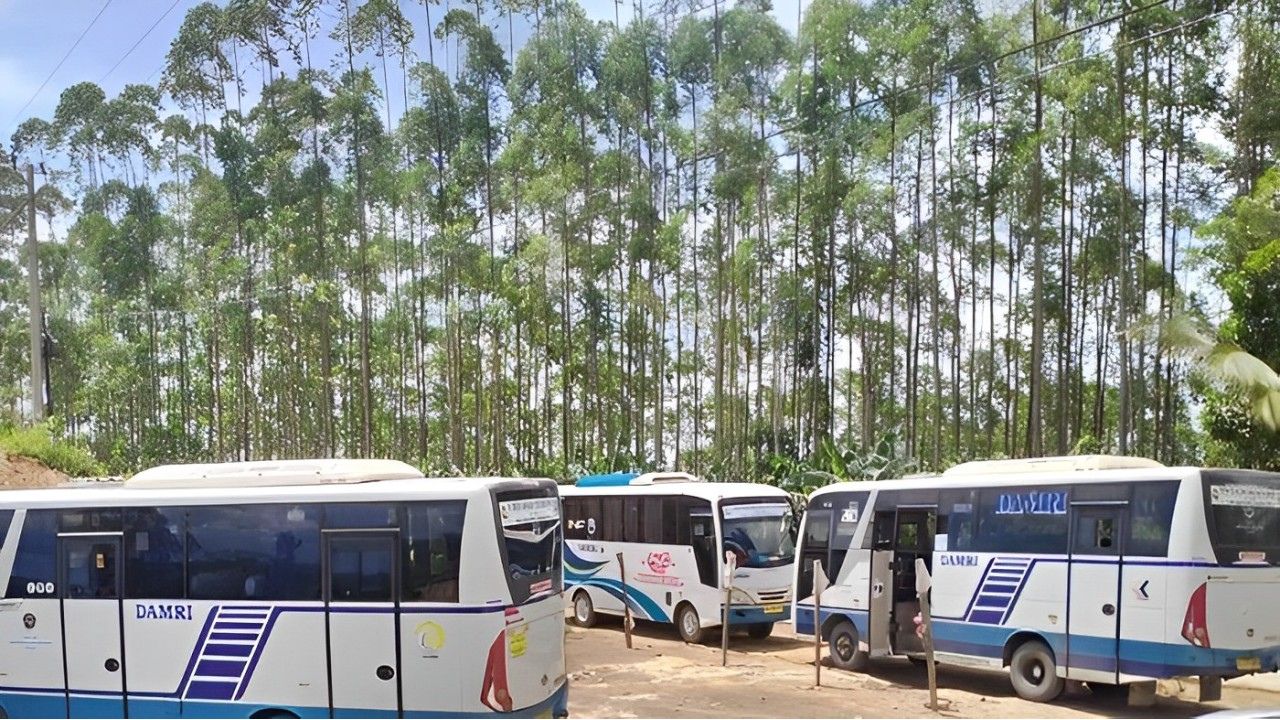 Terminal Bus IKN