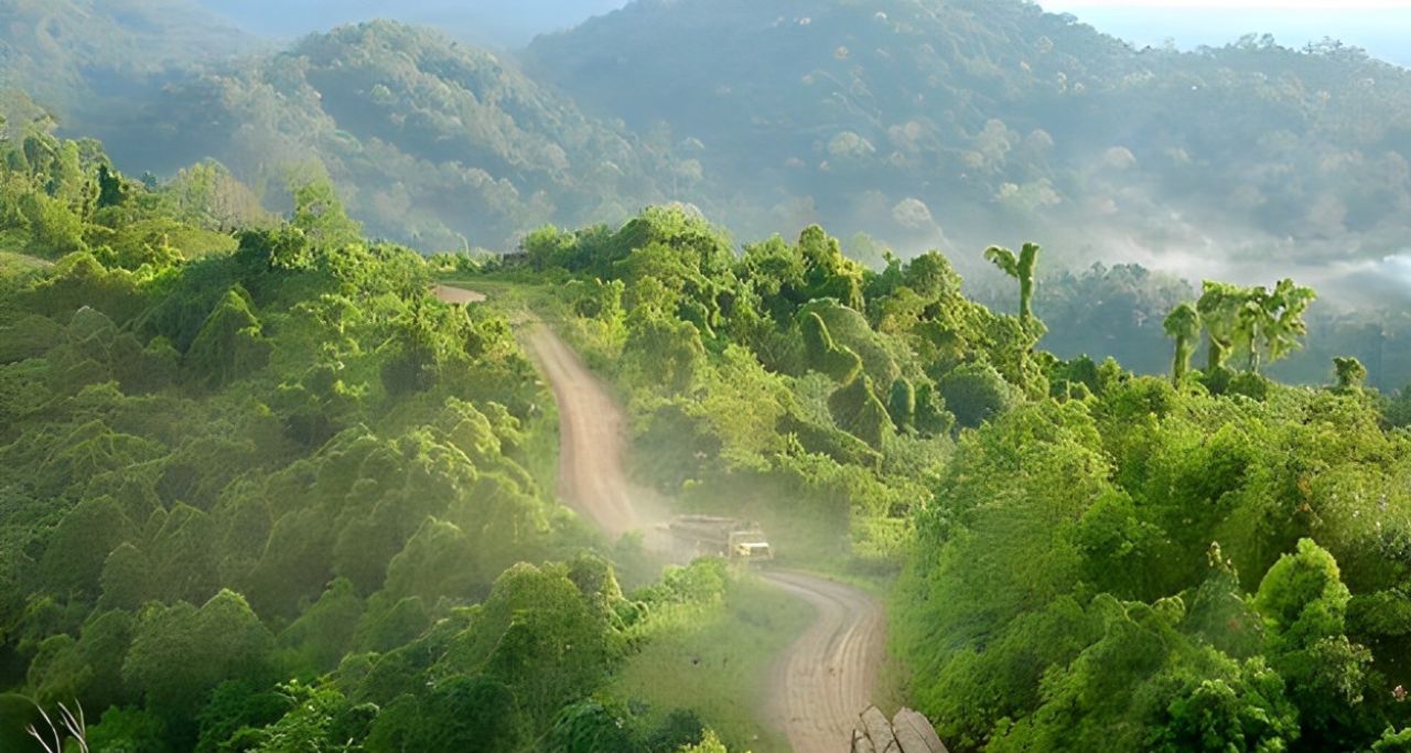 Gunung Lumut