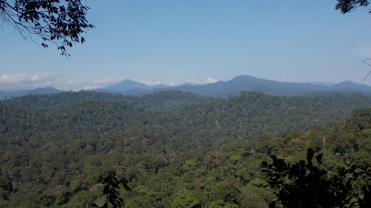 5 Daftar Gunung di Kalimantan Timur. Pendaki Wajib Tahu!