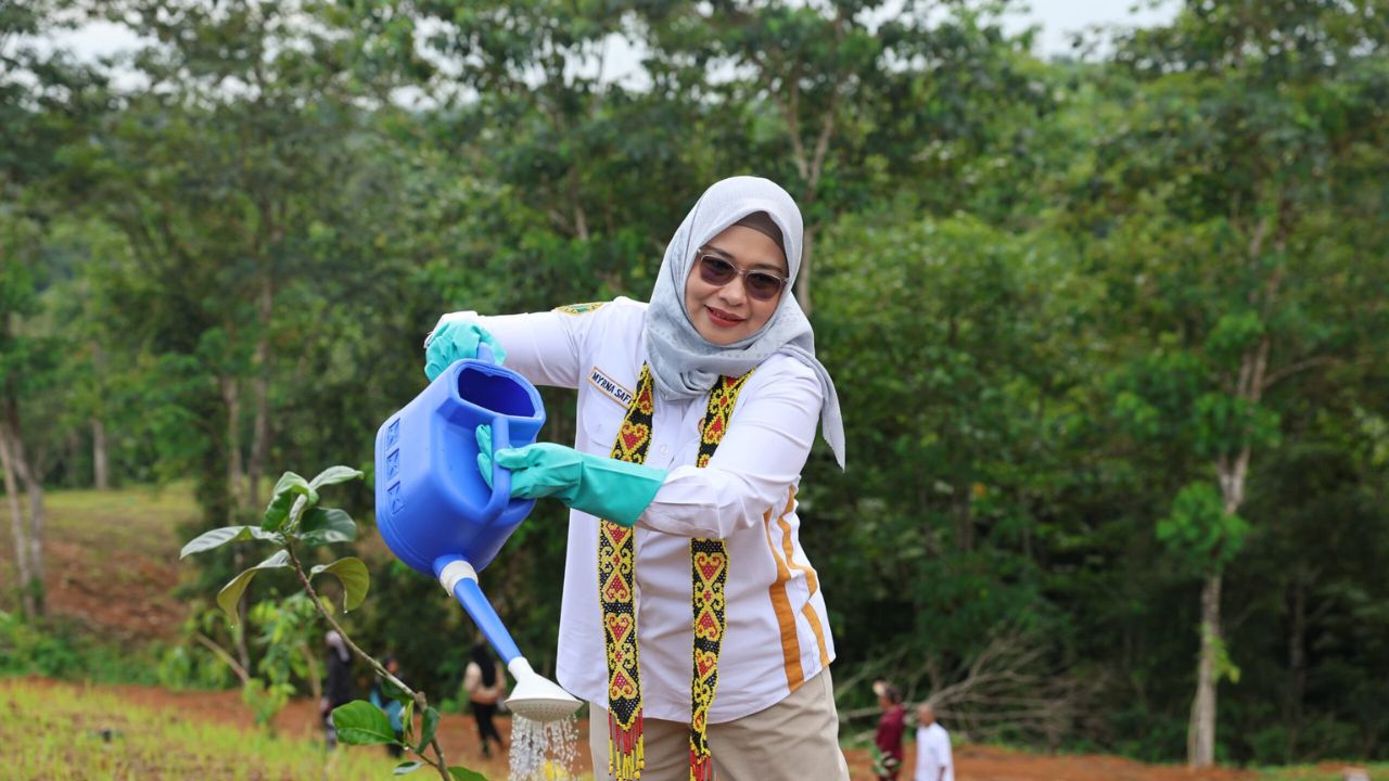 pembangunan taman buah ikn