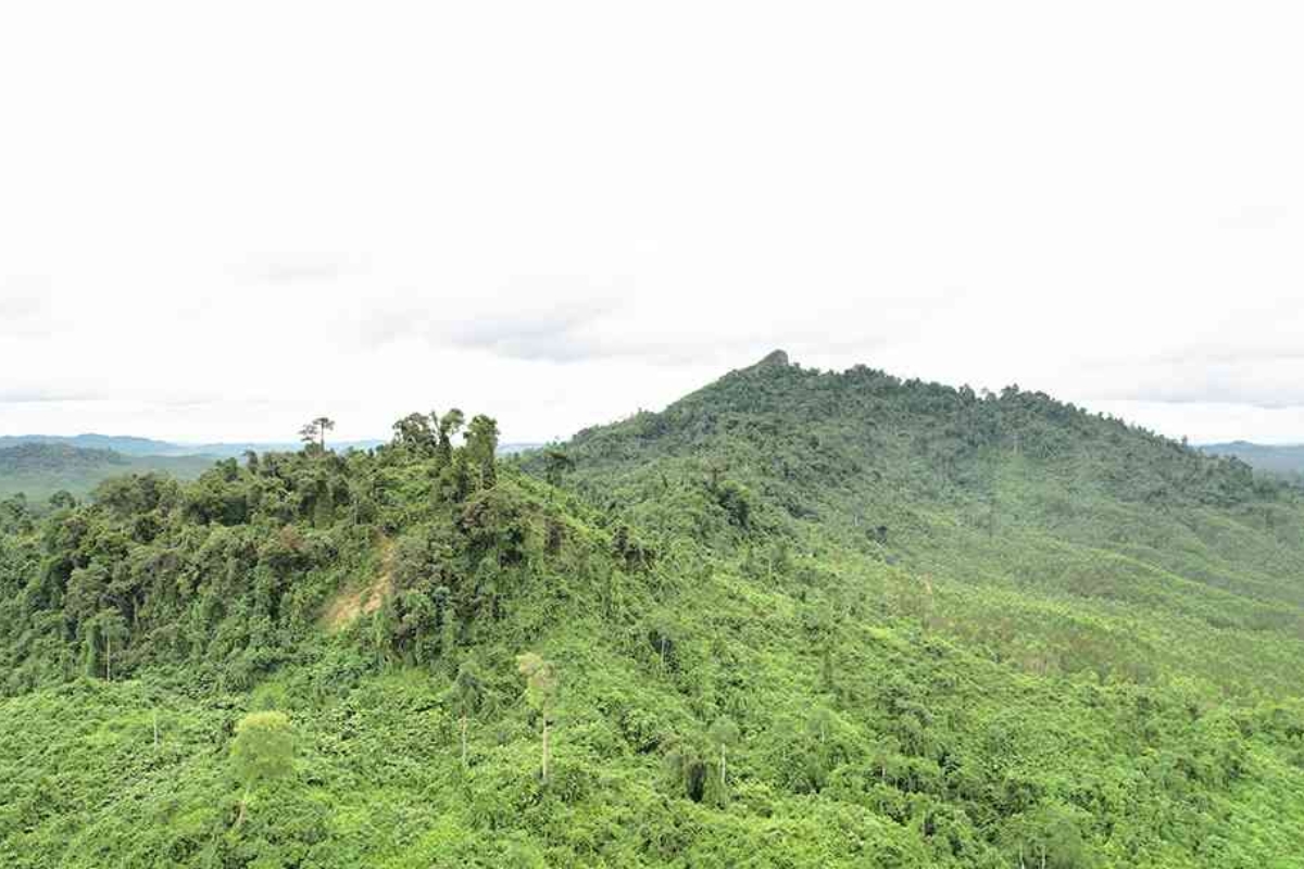 gunung parung ikn