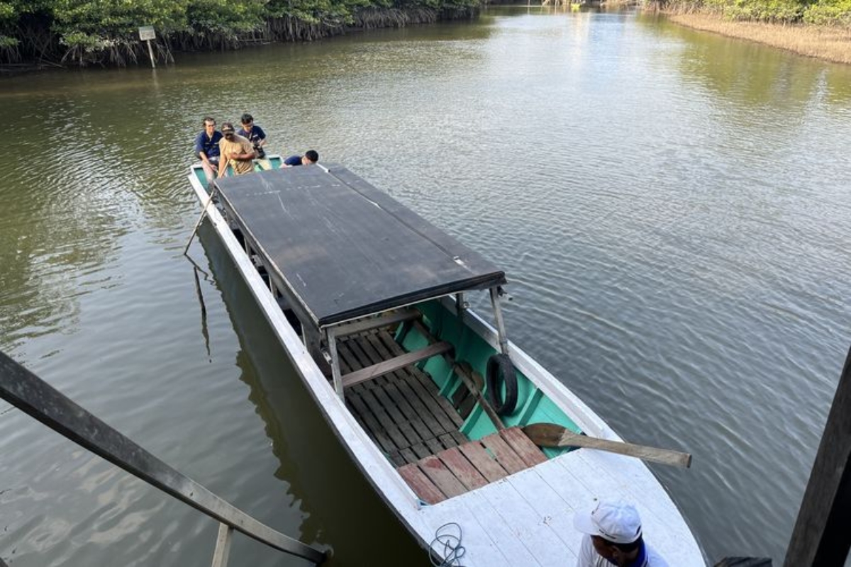 hutan mangrove mentawir