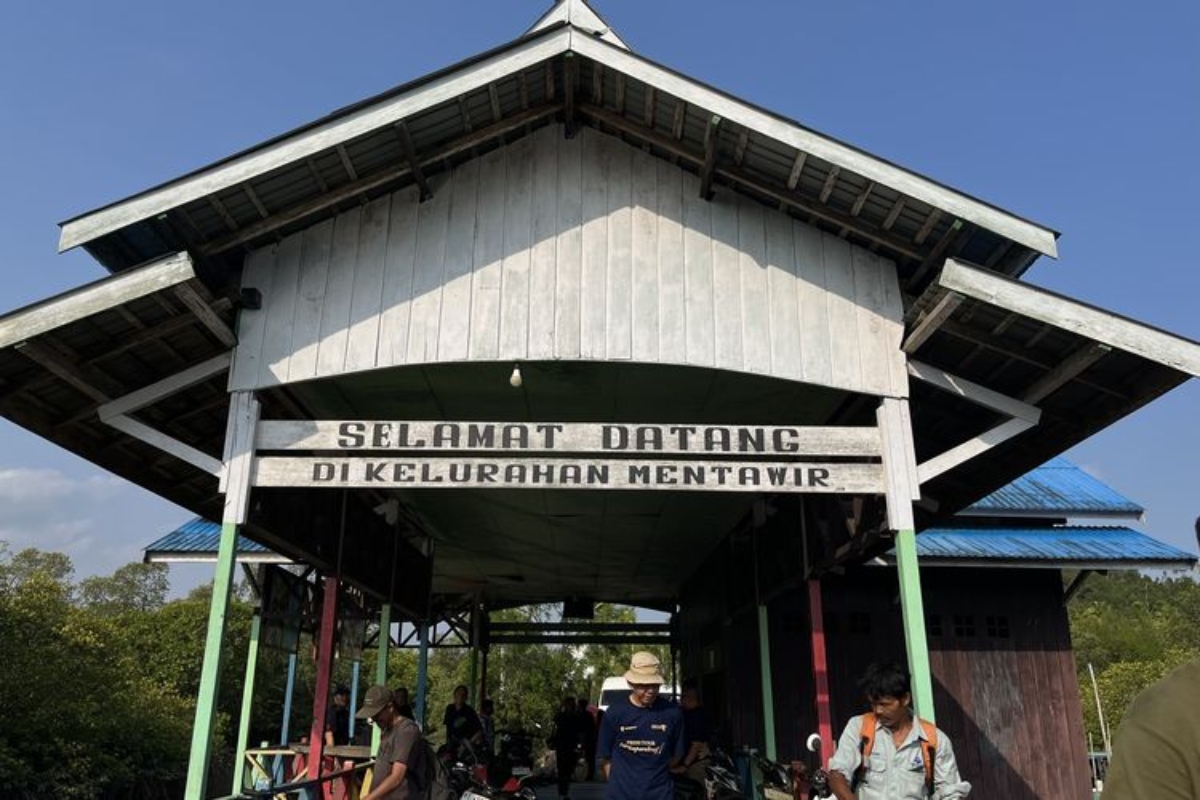 hutan mangrove mentawir