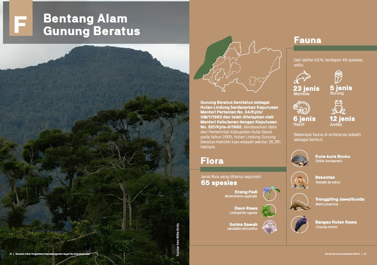 bentang alam gunung beratus