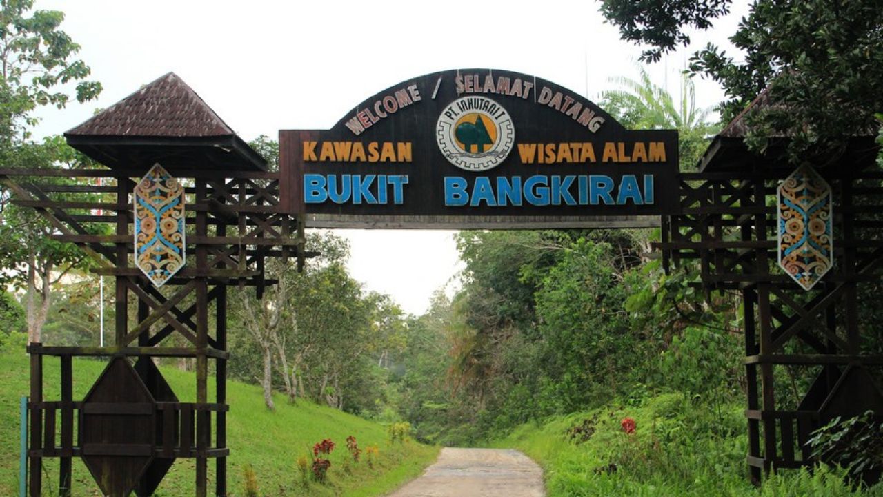 wisata bukit bangkirai