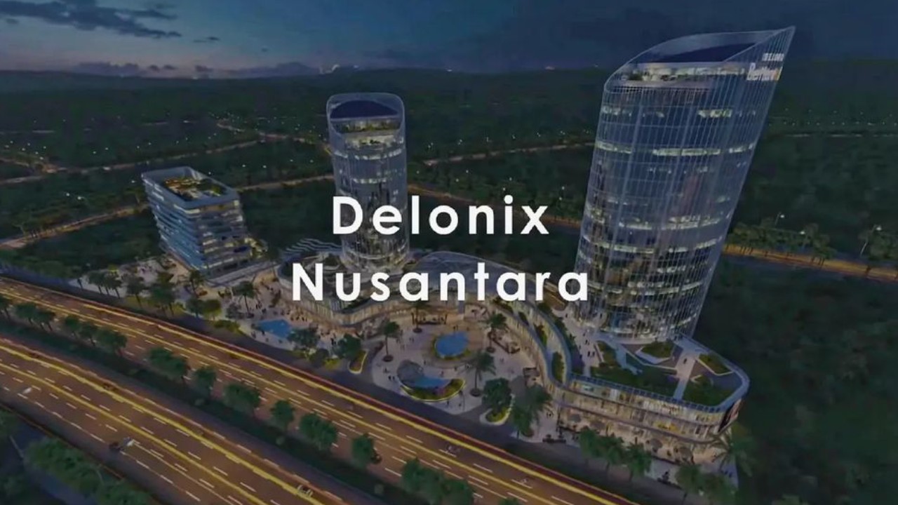 delonix nusantara