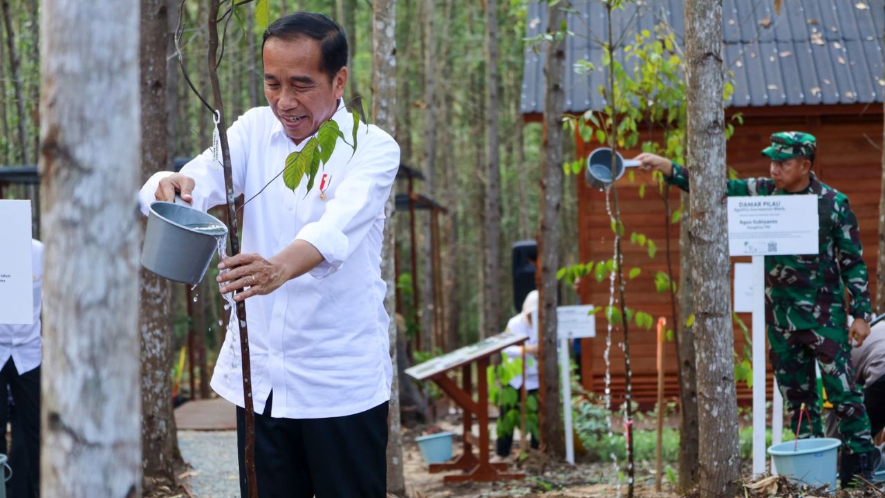 konsep kota hijau di ibu kota nusantara