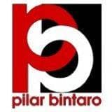 Pilar Bintaro