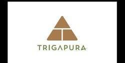 Trigapura Realty