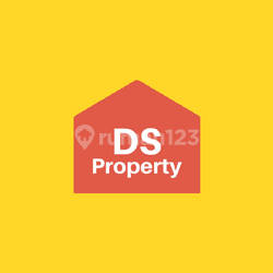 DS Property