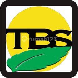 TBS Property