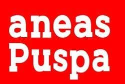 Aneas Puspa