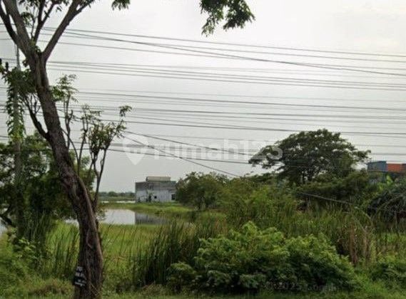 Zero Land, Duduk Sampean Main Road, Gresik, Strategically Located Near Bizpark Warehousing Zero Land, Duduk Sampean Main Road, Gresik, Strategically Located Near Bizpark Warehousing