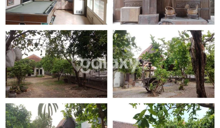 House and spacious yard House and spacious yard