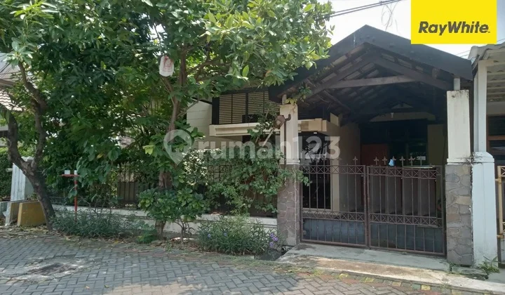 Disewakan Rumah di Jalan Manyar Indah Surabaya Disewakan Rumah di Jalan Manyar Indah Surabaya