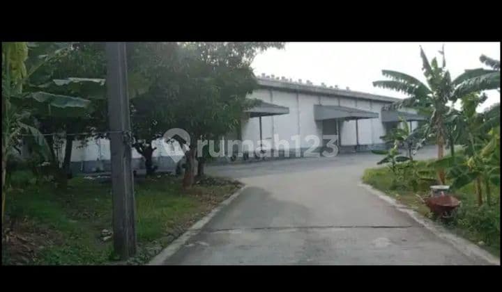 Gudang Murah Di Jalan Gatot Subroto Bitung Tangerang
