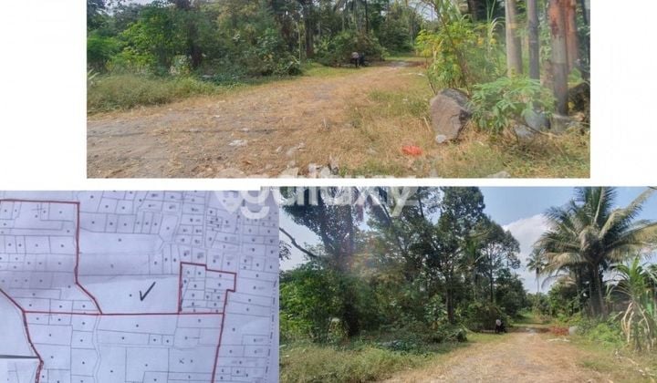 Quick Sale industrial land roadside in Boyolali. Quick Sale industrial land roadside in Boyolali.