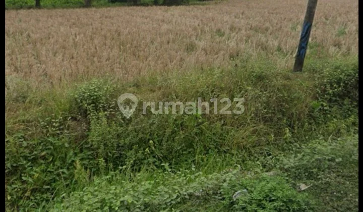 Tanah 28 Ha Didaerah Percut Deliserdang Tanah 28 Ha Didaerah Percut Deliserdang