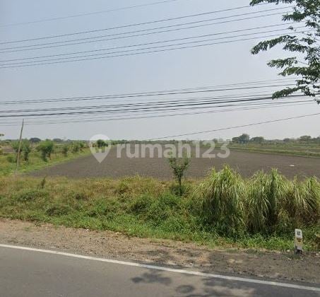 Land 33,000 sqm, suitable for Factory, We are Gresik Land Specialists. Land 33,000 sqm, suitable for Factory, We are Gresik Land Specialists.