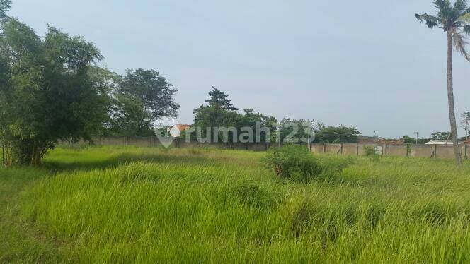 Gudang Pinggir Jalan Akses Container di Pilar Cikarang Utara