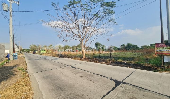 Tanah istimewa untuk industri dekat pintul tol ceper klaten Tanah istimewa untuk industri dekat pintul tol ceper klaten