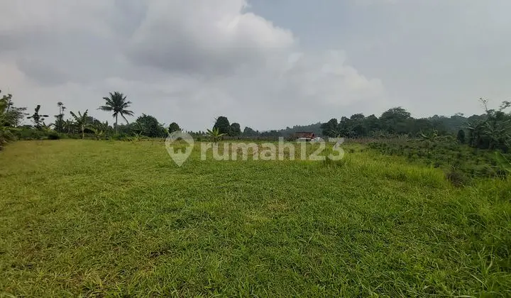 Tanah Ada Mata Air di Jalan Desa Wanayasa, Wanayasa SHM 1.6 Ha