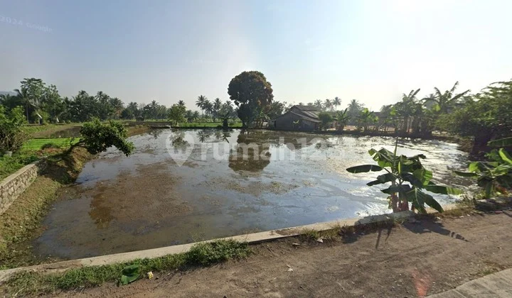 Wide Land Near Cianjur City Center Wide Land Near Cianjur City Center