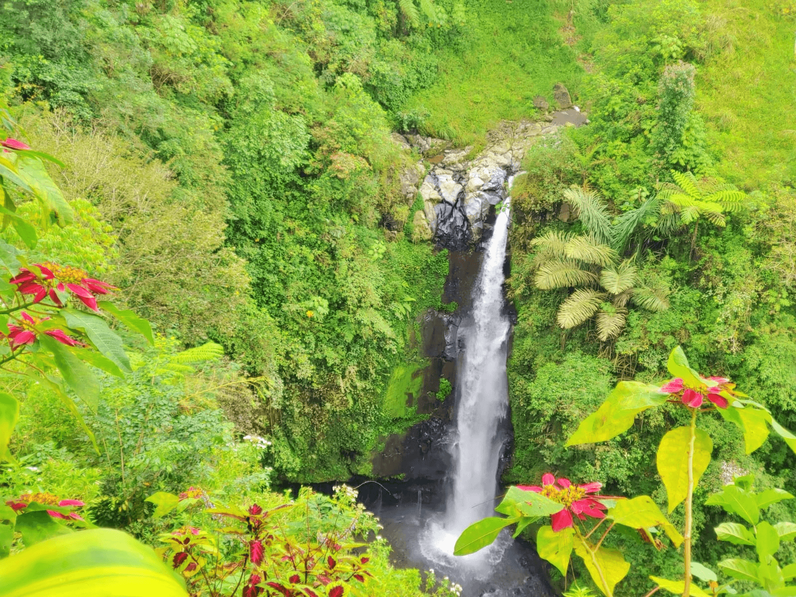 Air Terjun Kedung Kayang.jpg