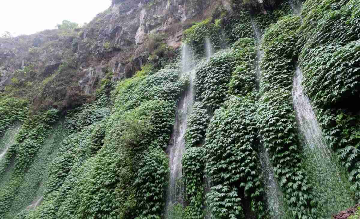 Air Terjun Sumber Pitu.jpg