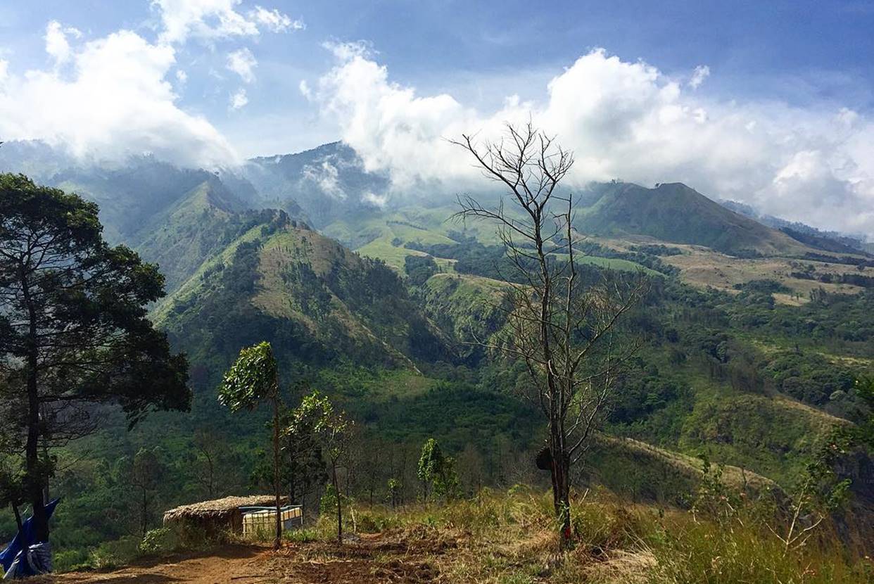 Budug Asu Malang.jpg