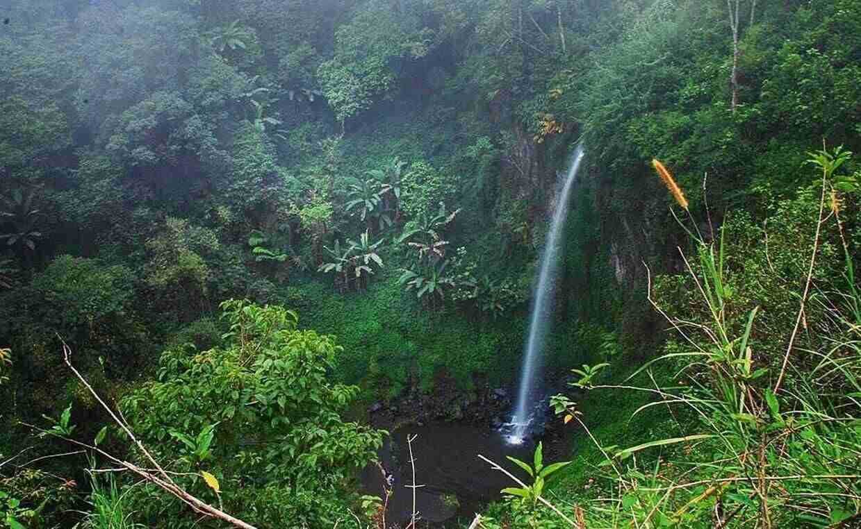 Coban Bidadari.jpg