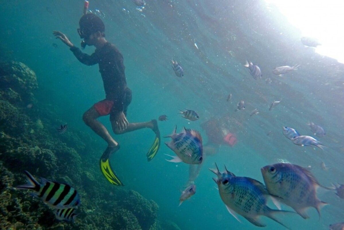 Cocok Untuk Snorkeling.jpg