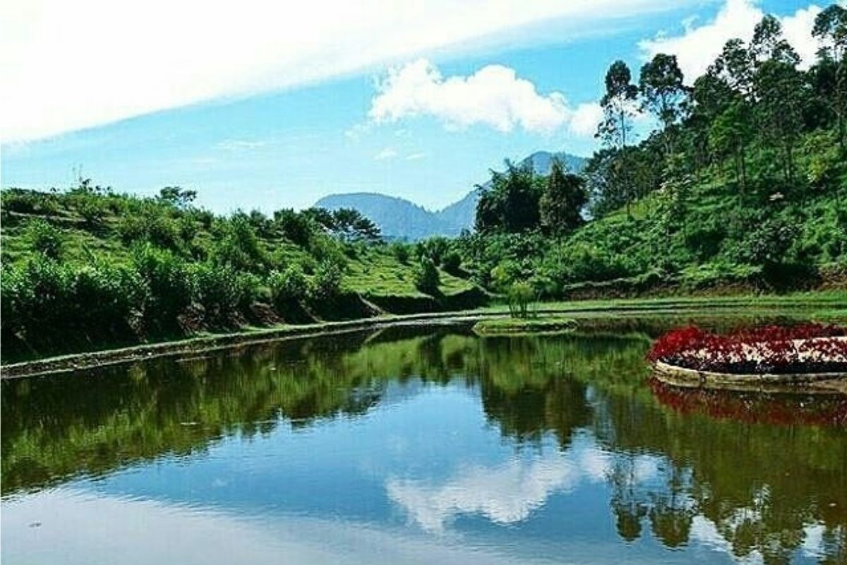 Danau buatan di Barusen Hills.jpg