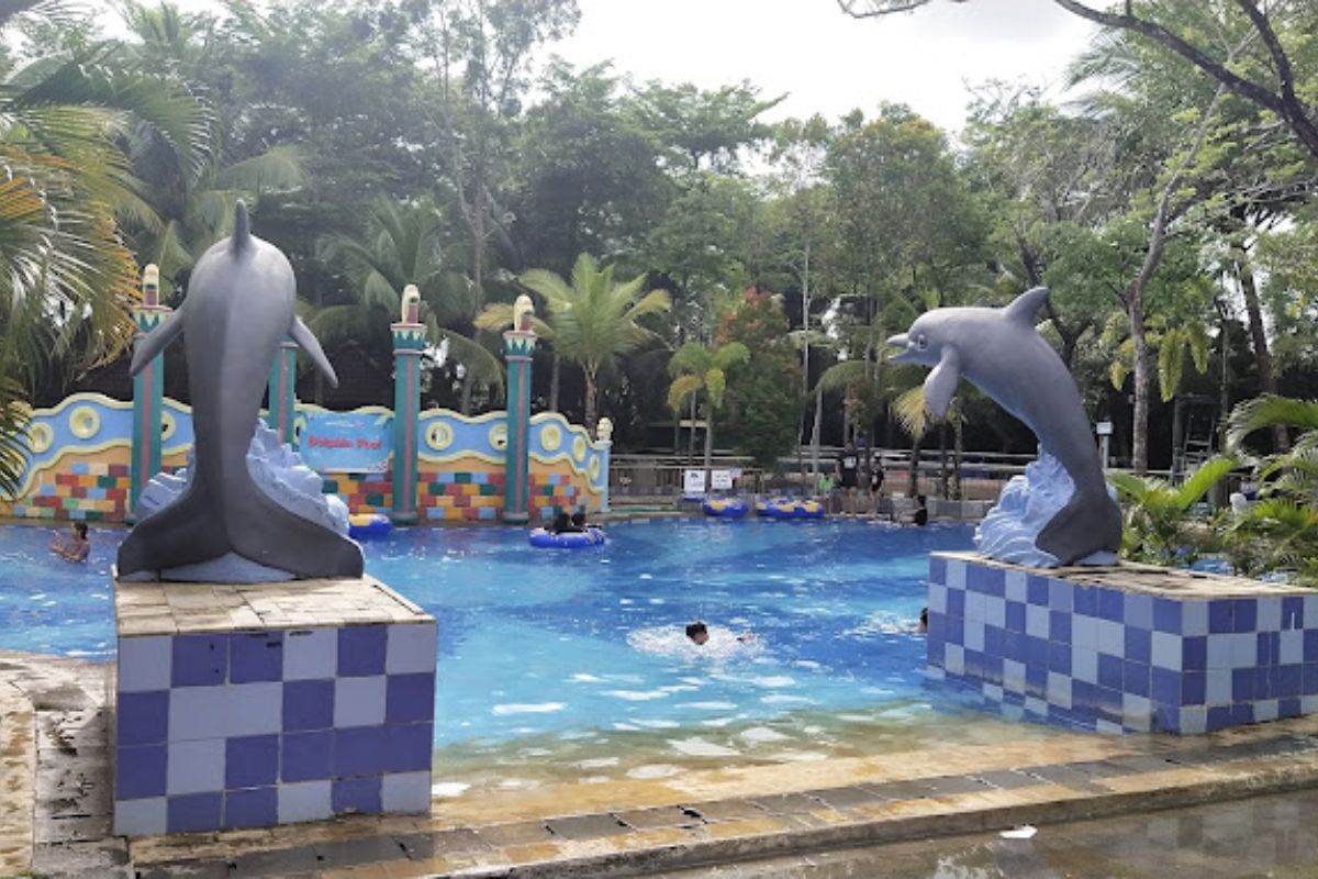 Dolphin Pool.jpg