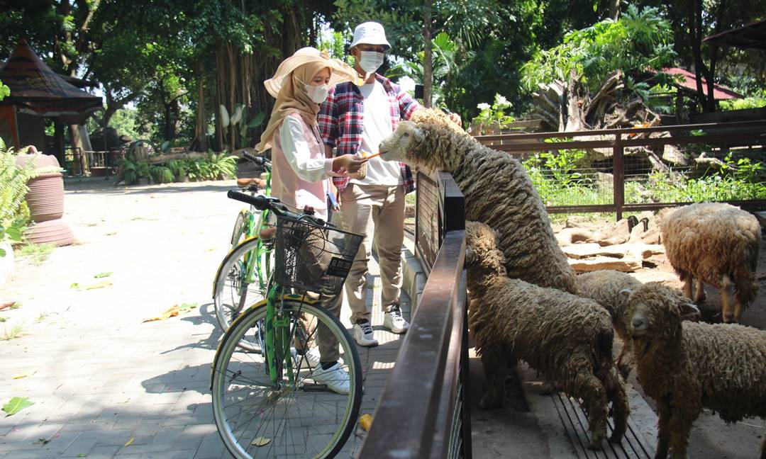 Kebun Binatang Gembira Loka Jogja.jpg