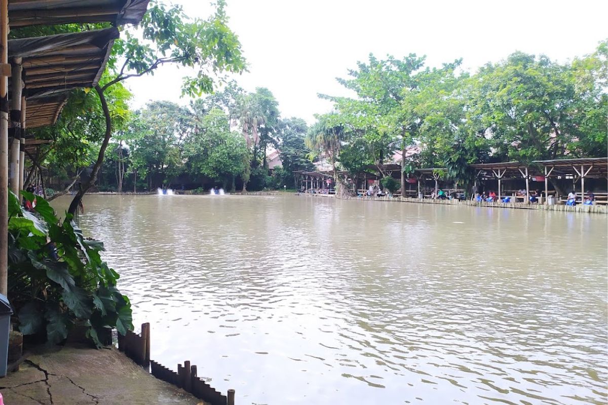 Kolam ikan di Godong Ijo.jpg