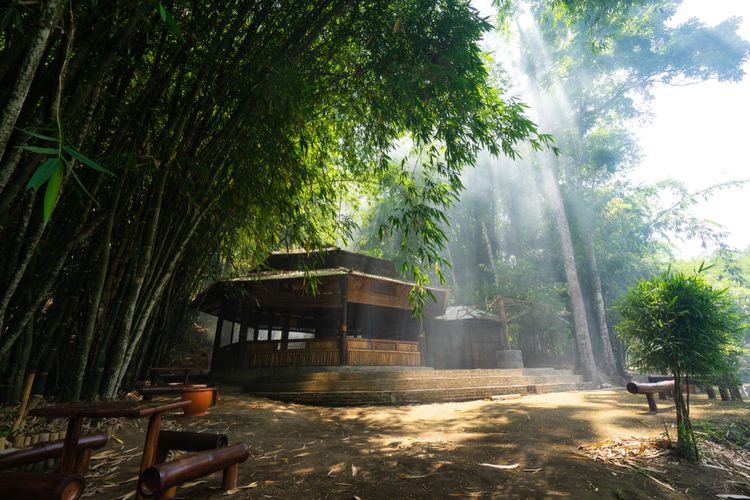 Lanskap Hutan Bambu yang Indah.jpg