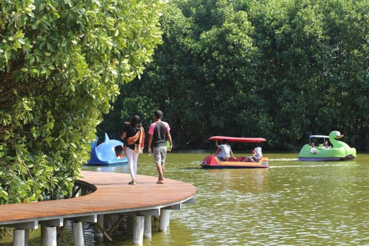 Pemandangan Hutan Mangrove yang Indah.jpg