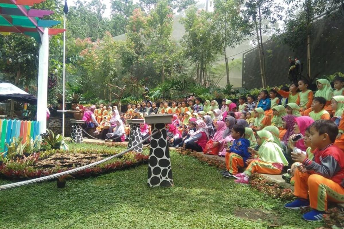 Pertunjukan di Bird Pavilion.jpg