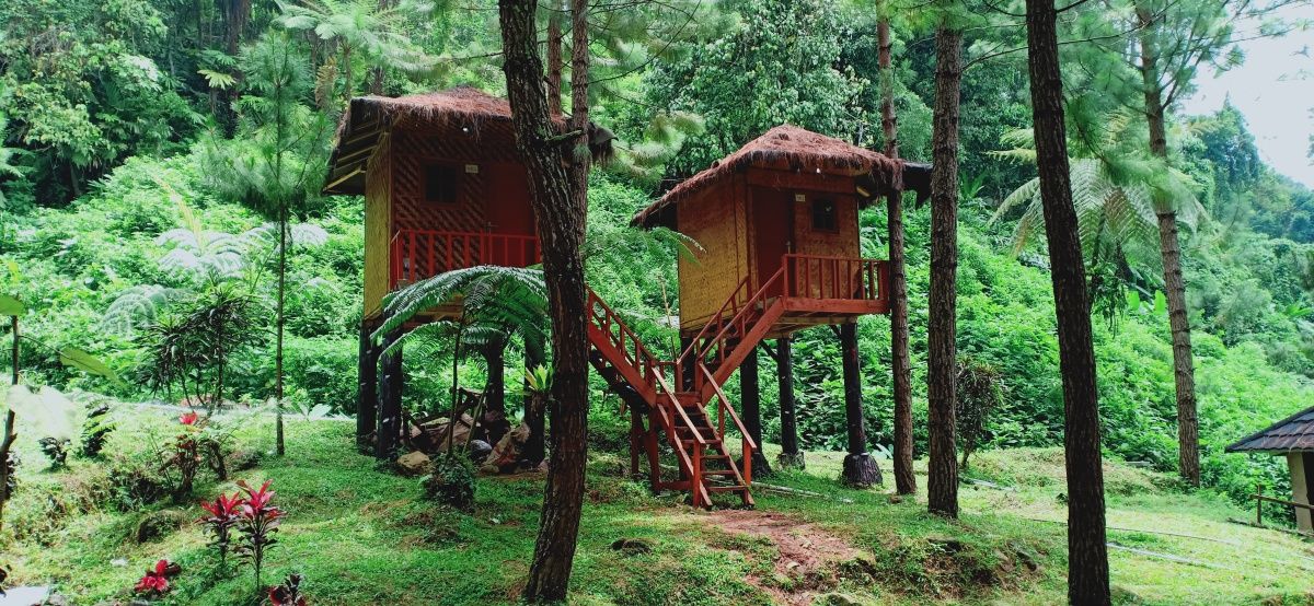 Rumah Pohon Curug Cipamingkis.jpg