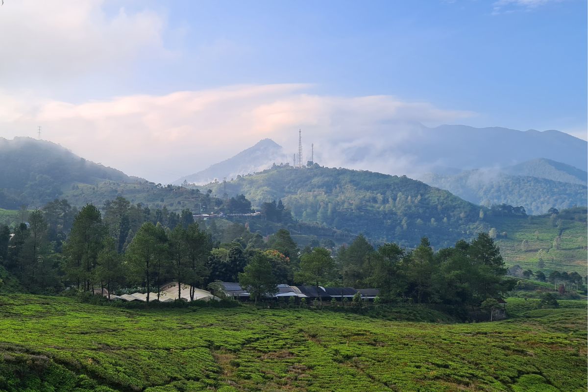 Sentul Bogor dan Objek Wisata Menarik di Sekitarnya