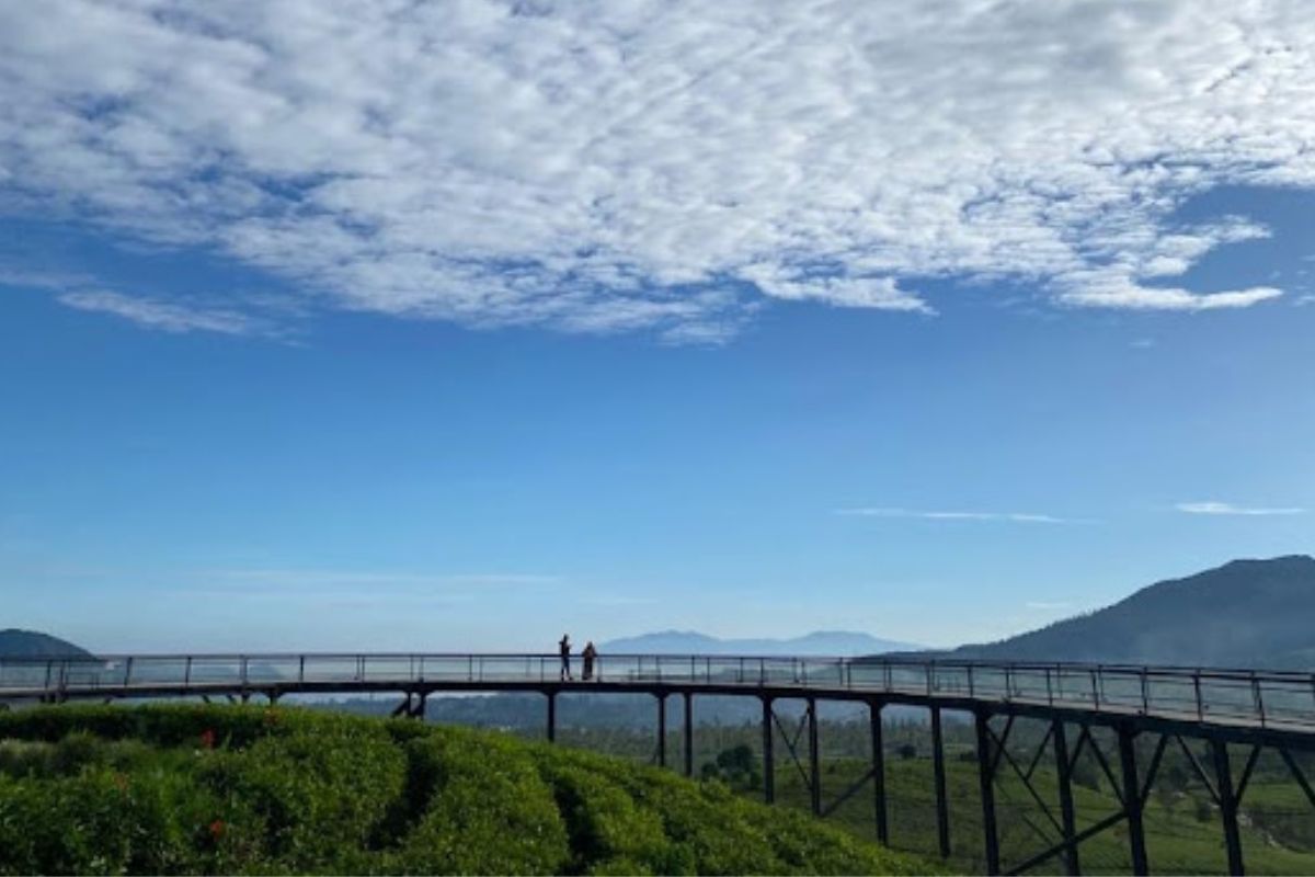 Sky Bridge dengan Pemandangan 360°.jpg