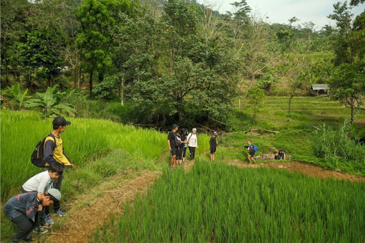 Taman Wisata Alam Gunung Pancar.jpg