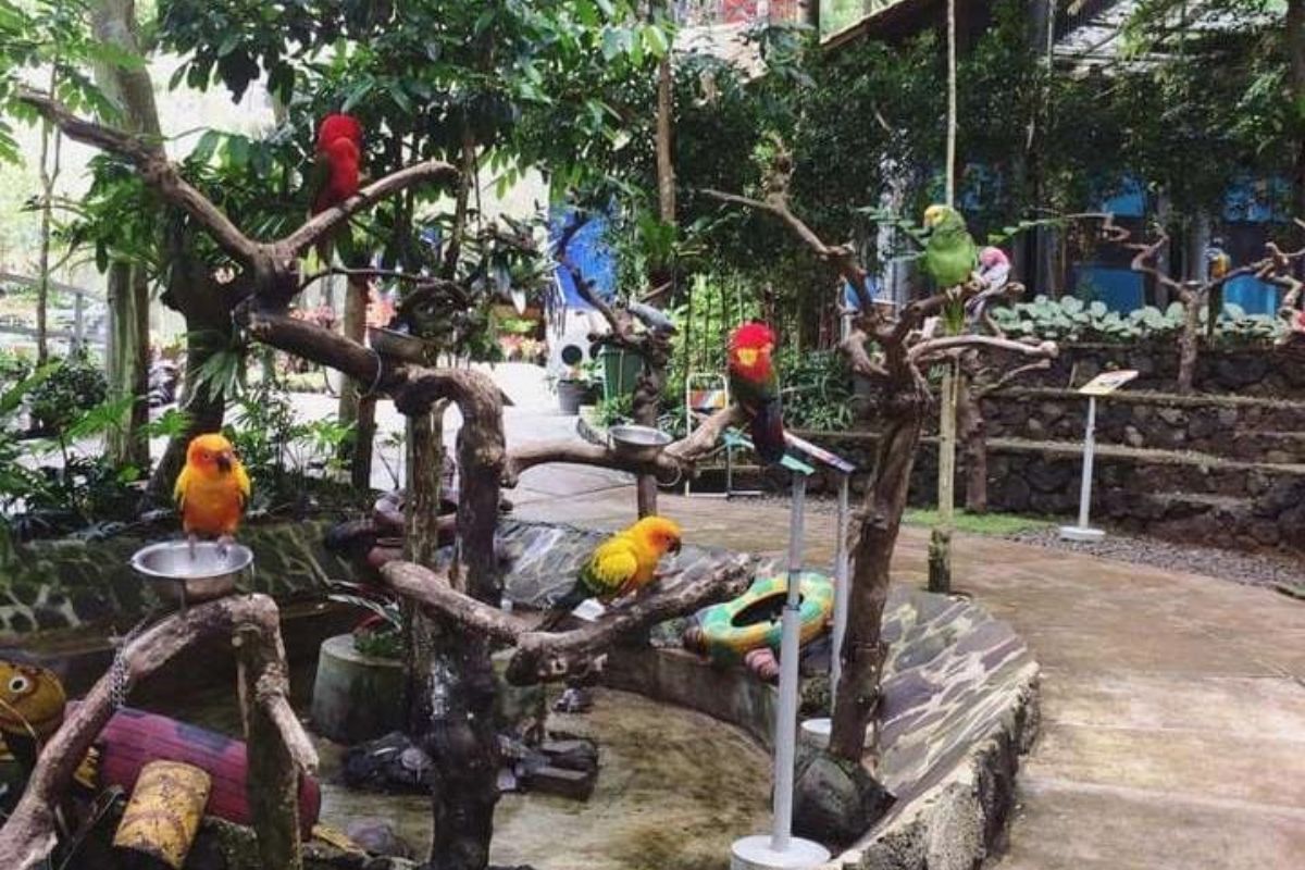 Taman bunga di Bird Pavilion.jpg