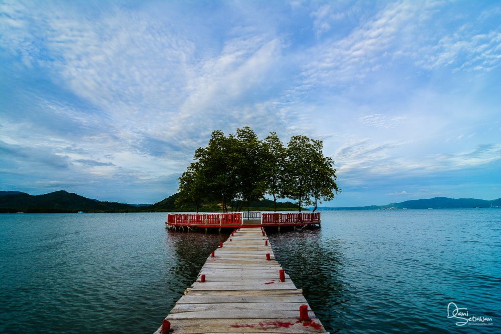 Terdapat Hutan Mangrove yang Indah.jpg