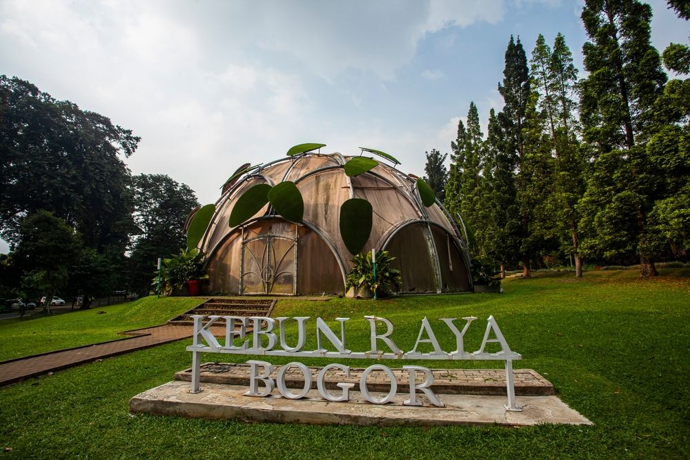 kebun raya bogor (1).jpg