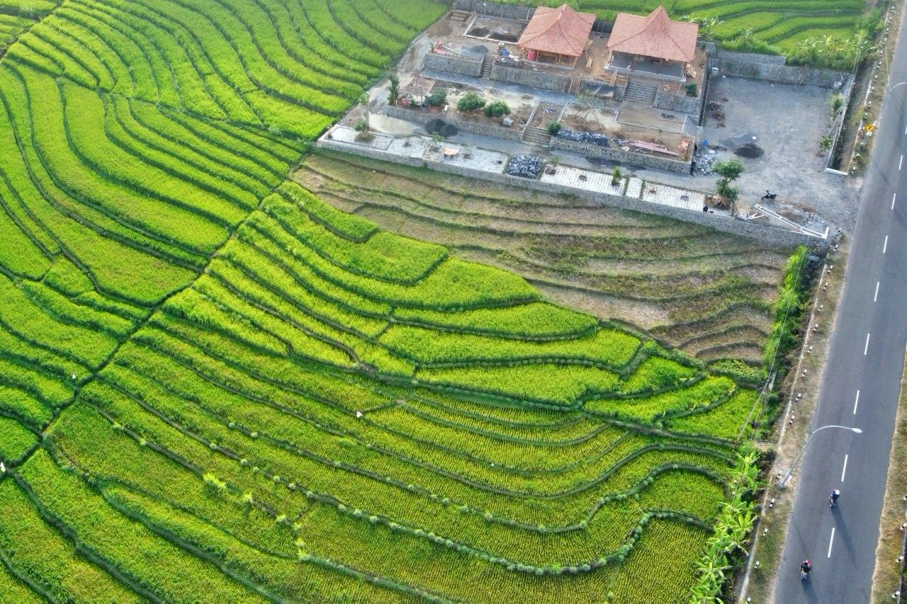 konsep ngopi tengah sawah.jpg